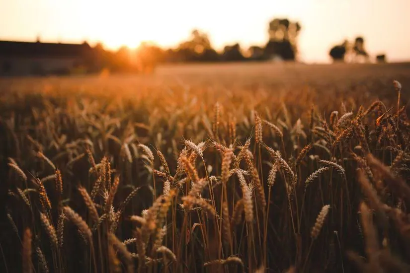 Kiplinger: Where to Find the Top Yields For the Rest of 2026