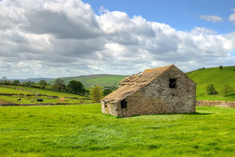 Q3 Small Cap Growth Update: A Low Quality Rally